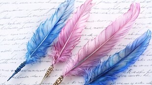 彩色羽毛笔置于手写文字上
