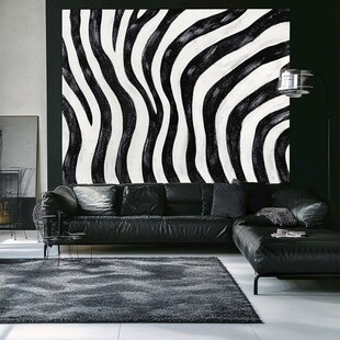 黑白斑马纹背景的时尚客厅