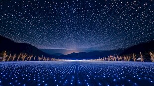梦幻星空下的蓝色灯光秀