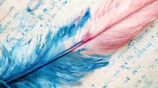 梦幻羽毛置于手写文字上