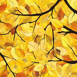 秋日黄叶树枝唯美画面