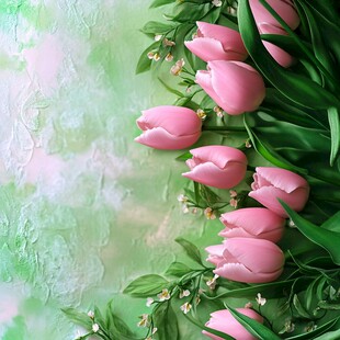 粉色郁金香与绿意背景