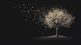 梦幻夜光树 闪烁如繁星