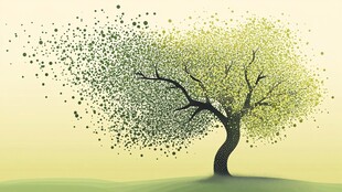 风中飘叶的生机之树