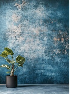蓝墙绿植 简约室内小景