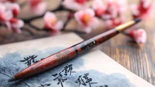 毛笔书写古韵 墨香伴花影