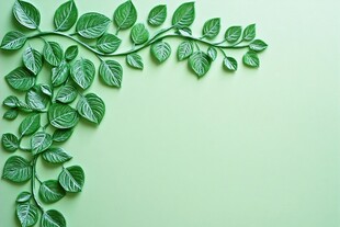 绿叶边框装饰 清新绿意