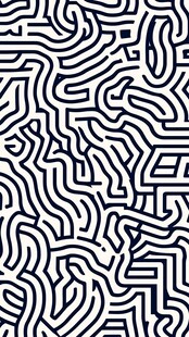 抽象黑白线条迷宫图案