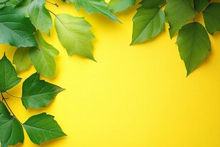 绿叶衬黄底 清新自然风