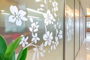 玻璃墙花朵装饰 清新雅致