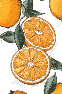 手绘鲜橙插画 清新水果风