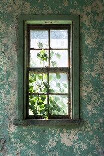老旧绿墙窗户透出绿意