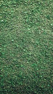翠绿细碎植物纹理背景