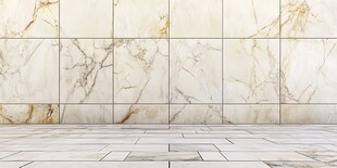 大理石墙面地面室内场景