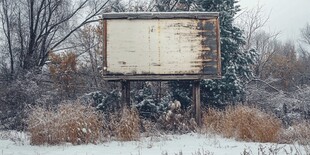 冬日荒野中的废弃广告牌