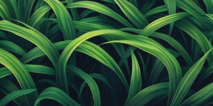 翠绿舒展的生机叶片