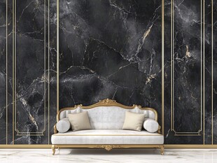 奢华大理石墙前的古典沙发