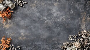 珊瑚装饰的深色背景纹理