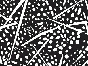 黑白抽象线条圆点图案
