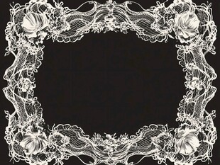 白色蕾丝花纹装饰边框