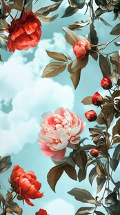 蓝天下的娇艳盛放牡丹花