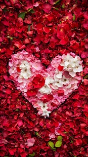 心形花瓣拼图 浪漫花卉景