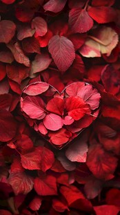 心形红叶浪漫唯美画面