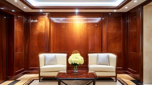 豪华木质客厅舒适座椅组合