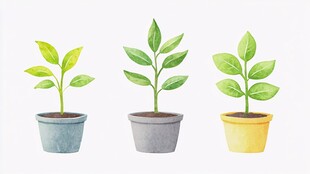 三盆绿植盆栽水彩插画