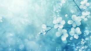 淡蓝梦幻樱花枝