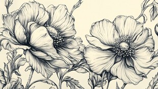 黑白手绘风盛开的美丽花朵