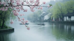 烟雨江南 湖畔桃花初绽
