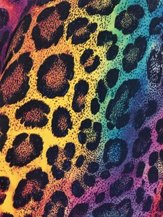 彩虹色豹纹图案纹理