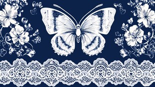 蓝底白蝶花卉蕾丝图案