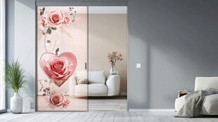 浪漫玫瑰玻璃门装饰空间