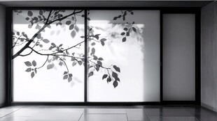 中式窗棂旁的枝影艺术