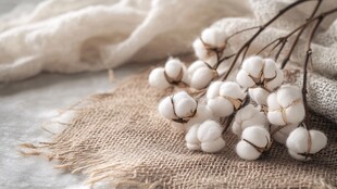 柔软棉花与织物的温馨组合