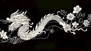 龙与花卉精美黑白纹饰