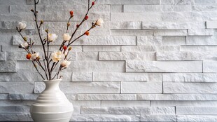 白花瓶中花枝倚石墙