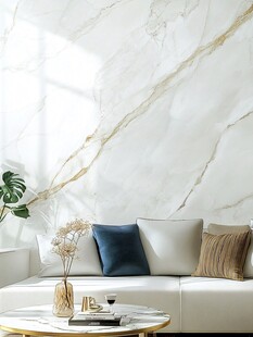 奢华大理石背景客厅一角