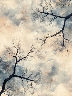 枯树枝与朦胧天空景象
