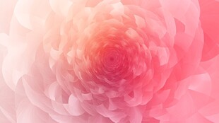 梦幻柔美粉色花卉特写