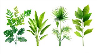 清新绿植集合