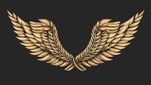 金色羽翼图案 华丽而精致