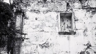 斑驳老墙的岁月痕迹