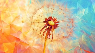 梦幻蒲公英绽放绚丽色彩