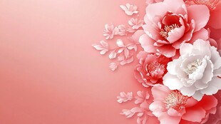 粉色背景上的娇艳牡丹花朵