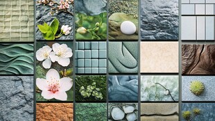 多样自然纹理与花卉集合