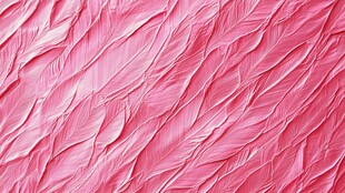 粉色羽毛纹理背景图案
