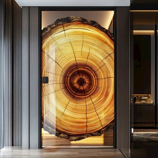 年轮图案装饰门尽显自然美